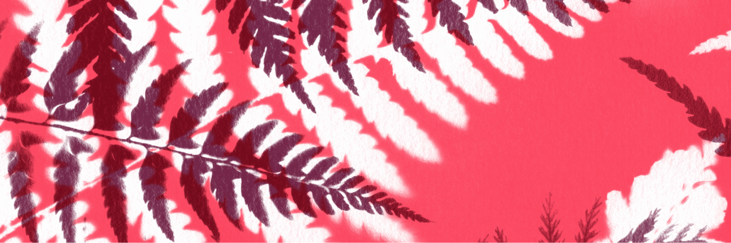 SERRE_DU_RUISSEAU_BANDEAU_WEB_29