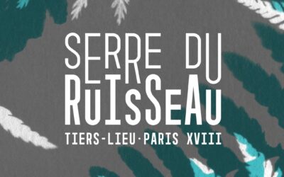 Découvrez notre univers : présentation de notre charte graphique 🌱